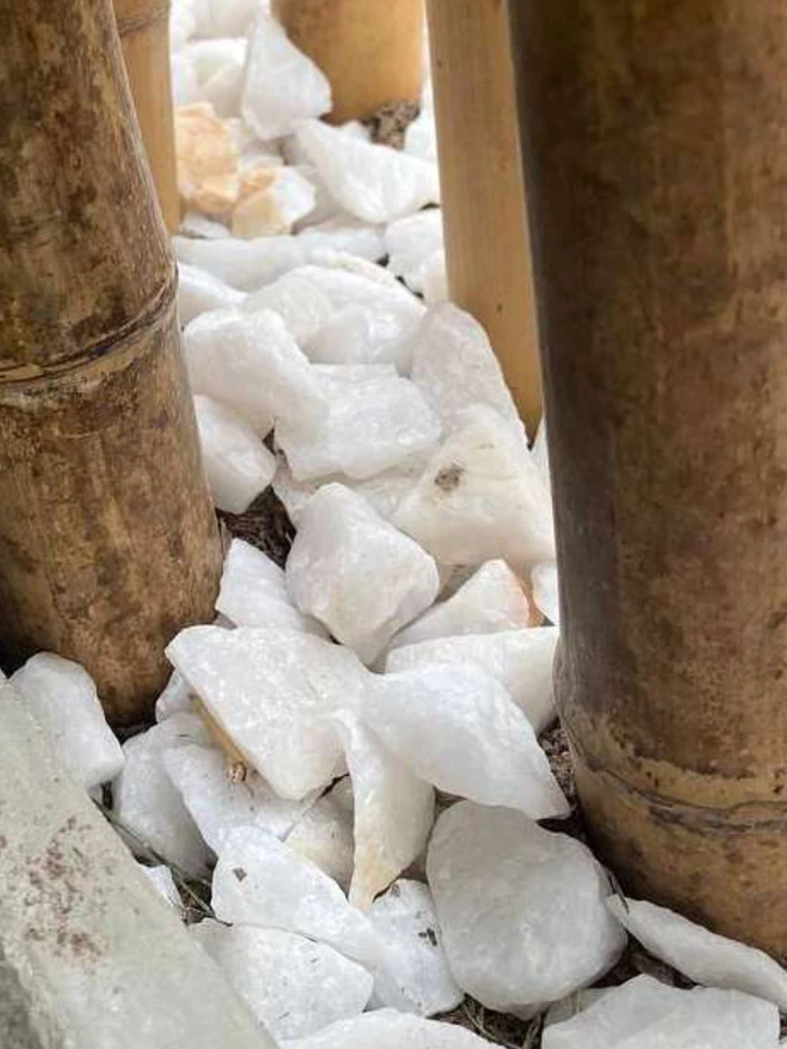 Grava de cuarzo blanco brillante como nieve entre cañas de bambú